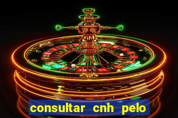 consultar cnh pelo cpf sp